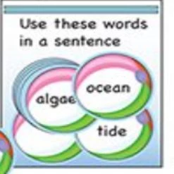 Creative Shapes Etc. - Large Notepad - Beach Ball -Cheap Invitations & Stationery Store creative shapes etc large notepad beach ball14224655 a02NOWA